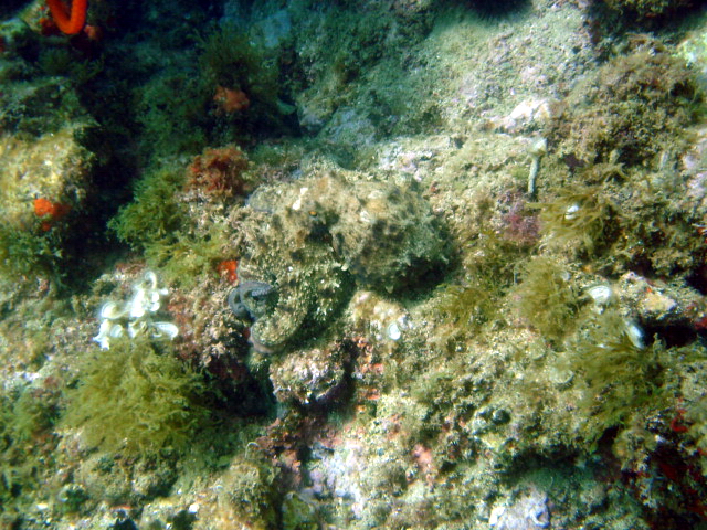 2013-06-12 11-27-48 Steven.JPG